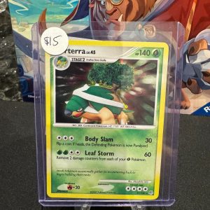 Torterra 17/130