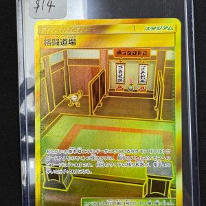 Martial Arts Dojo 079/064