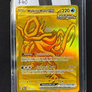 Walking Wake ex 178/131