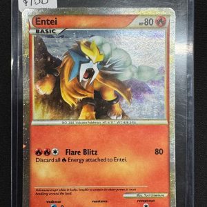 Entei HGSS20