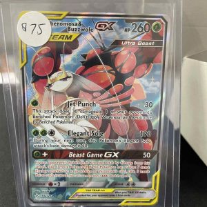 Pheramosa & Buzzwole GX 192/214