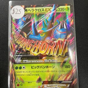 M heracross ex 005/096 RR