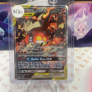 Reshiram and Charizard GX SM201