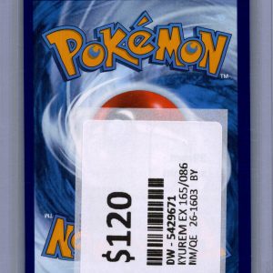 img20260318_17364485