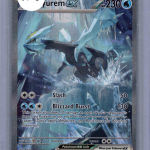 img20260318_17364486