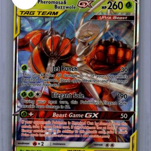 img20260325_17293549