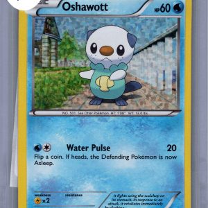 img20260331_09354794