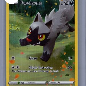 Poochyena GG33/GG70, Crown Zenith Pokemon card