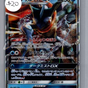 Greninja GX 013/024 RR, Japanese Singles Pokemon card