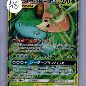 Venusaur and Snivy GX 001/064 RR, Japanese Singles Pokemon card