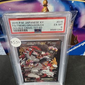 Yeam Magma Groudon EX 015 PSA 6 Double Crisis, Graded Cards Pokemon card