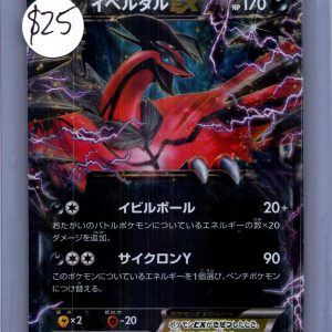 Yveltal ex 005/023, Japanese Singles Pokemon card