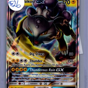 Raikou gx sm121 Pokemon card
