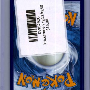 Kricketune V TG12/TG30, Silver Tempest Pokemon card - alternate view