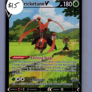Kricketune V TG12/TG30, Silver Tempest Pokemon card