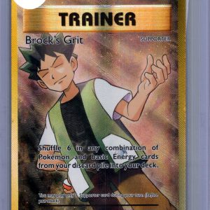 Brock's Grit 107/108, Evolutions Pokemon card