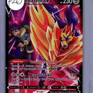 Zamazenta V TG22/TG30, Astral Radiance Pokemon card
