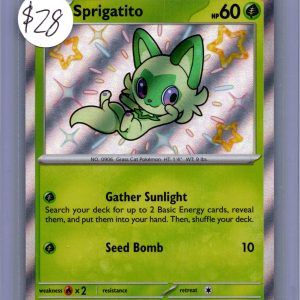 Sprigatitio 076, Promo Pokemon card