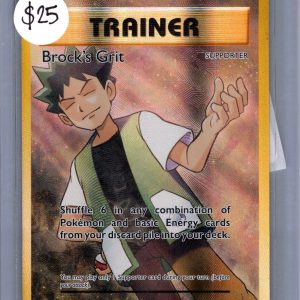 Brock's Grit 107/108, Evolutions Pokemon card