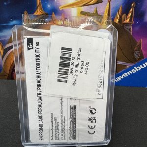 Illustration contest 2024 sealed promo, Promo Pokemon card - alternate view
