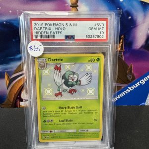Datrix sv3/sv94 psa 10, Graded Cards Pokemon card