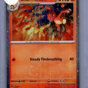 Chameleon 079, PROMO Pokemon card