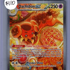 Dachsbun EX 169/142, Stellar Crown Pokemon card
