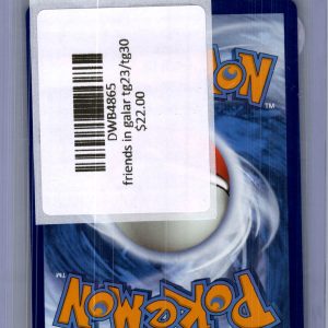 Friends in Galar TG23/TG30, Silver Tempest Pokemon card - alternate view
