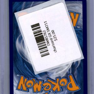 Charizard GX SM211, PROMO Pokemon card - alternate view