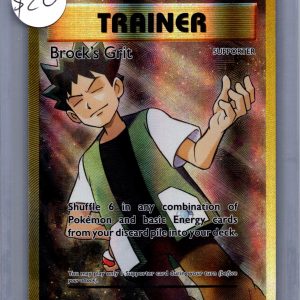 Brock's Grit 107/108, Evolutions Pokemon card