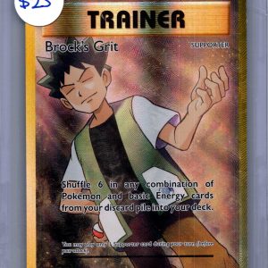 Brock's Grit 107/108, Evolutions Pokemon card