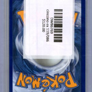 Cinccino EX 119/086, Chaos Rising Pokemon card - alternate view