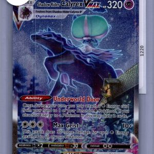 Shadow Rider Calyrex VMAX 205/198, Chilling Reign Pokemon card