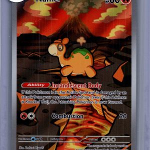 Numel 223/217, Ascended Heros Pokemon card