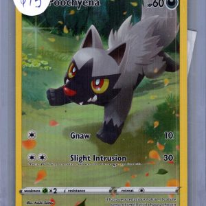 Poochyena GG33/GG70, Crown Zenith Pokemon card