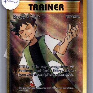 Brock's Grit 107/108, Evolutions Pokemon card