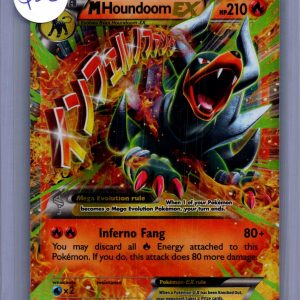m houndoom x 22/162 Pokemon card