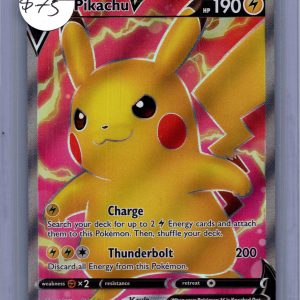 Pikachu V 170/185, Vivid Voltage Pokemon card