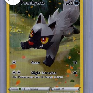 Poochyena GG33/GG70, Crown Zenith Pokemon card